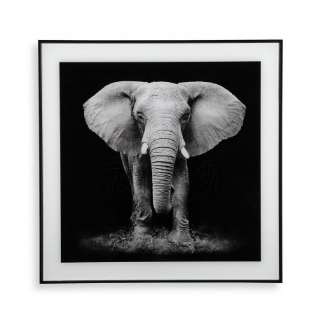 QUADRO ELEFANTE