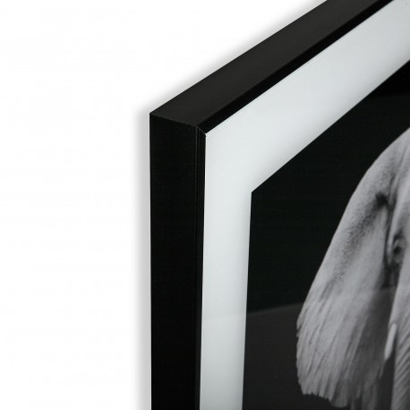 QUADRO ELEFANTE