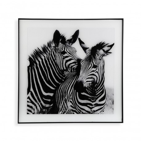 QUADRO ZEBRA 1
