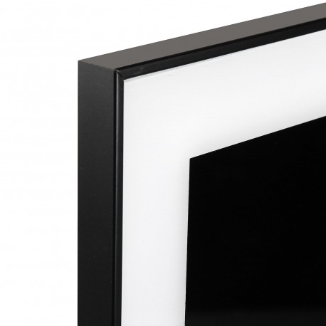 QUADRO ZEBRA 1