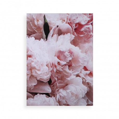 QUADRO ROSE 50X70