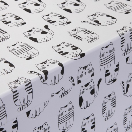 SET 15 SCATOLE CARTONE GATTO