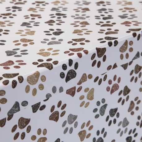 SET 10 SCATOLE CARTONE PETPRINT