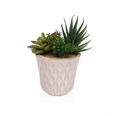 VASO CERAMICA CON SUCCULENTA 1