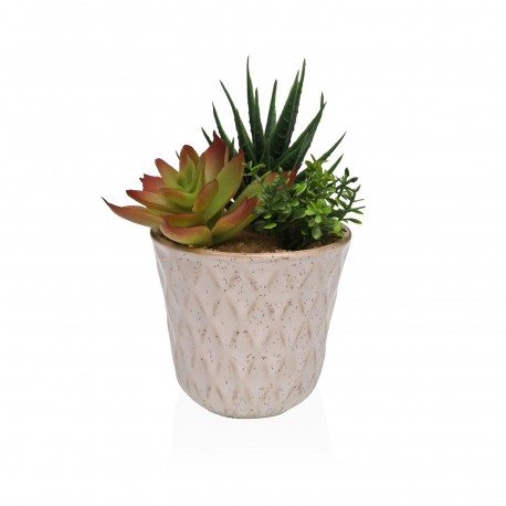 VASO CERAMICA CON SUCCULENTA 2