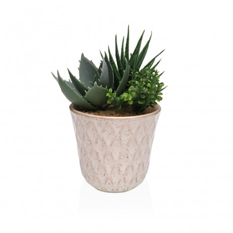 VASO CERAMICA CON SUCCULENTA 3