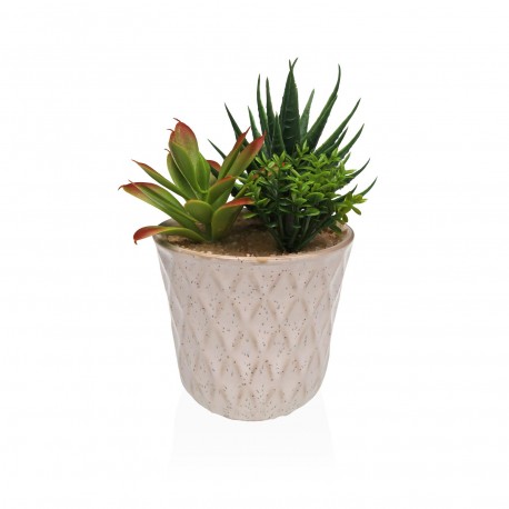 VASO CERAMICA CON SUCCULENTA 4