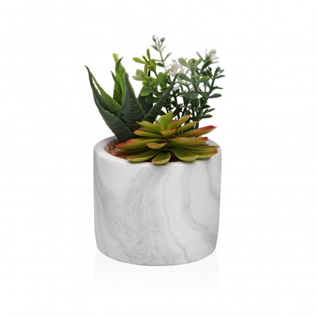 VASO EFFETTO MARMO CON SUCCULENTA 1