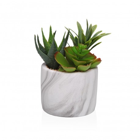 VASO EFFETTO MARMO CON SUCCULENTA 2