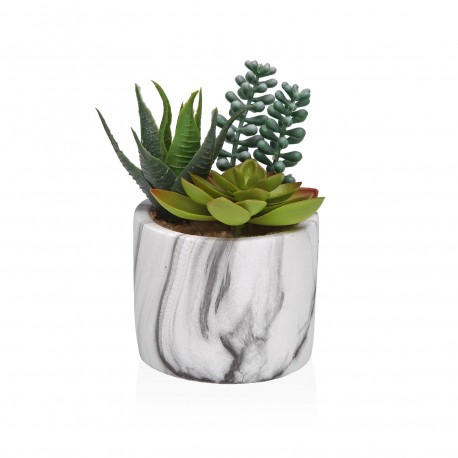 VASO EFFETTO MARMO CON SUCCULENTA 3