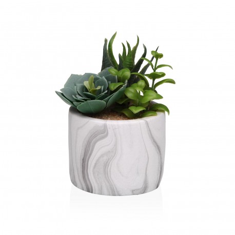 VASO EFFETTO MARMO CON SUCCULENTA 4