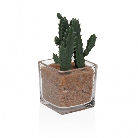 VASO VETRO CON SUCCULENTA 1