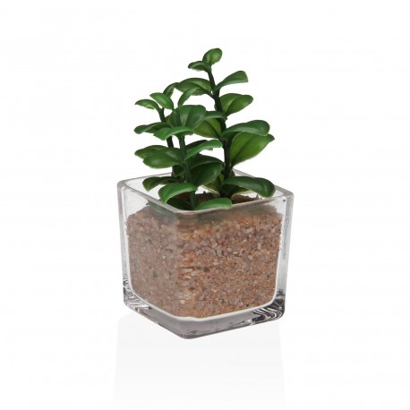 VASO VETRO CON SUCCULENTA 2