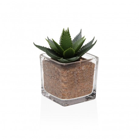 VASO VETRO CON SUCCULENTA 3