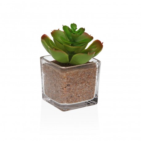 VASO VETRO CON SUCCULENTA 4