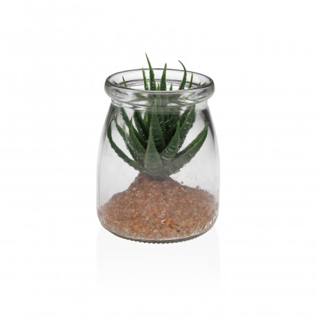BARATTOLO VETRO CON SUCCULENTA 1