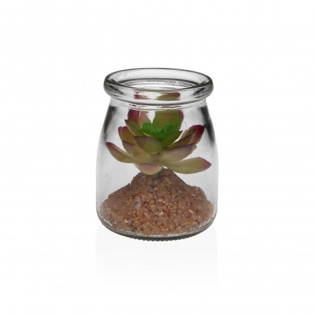 BARATTOLO VETRO CON SUCCULENTA 2