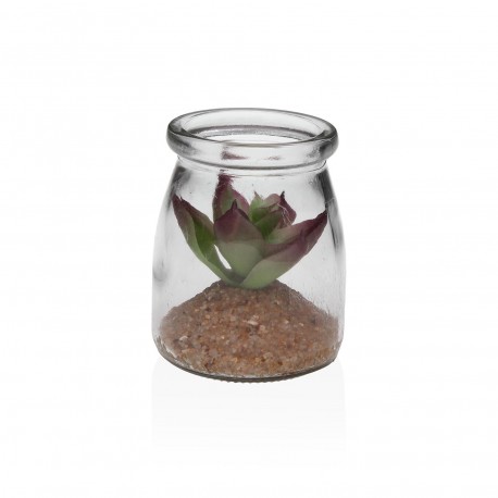 BARATTOLO VETRO CON SUCCULENTA 3