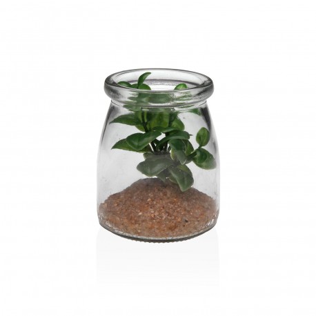 BARATTOLO VETRO CON SUCCULENTA 4