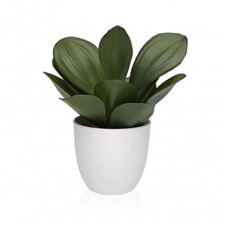 VASO DECORATIVO CON PIANTA 23 CM