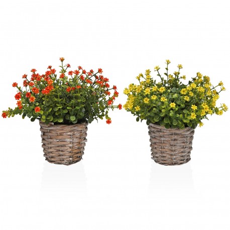 ASSORTIMENTO DUE VASI DECORATIVI "SEMPRERIVIVE"