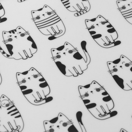 ALBUM GATTO 20 PAGINE