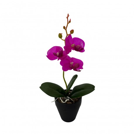 ORCHIDEA CON VASO ASSORTITO 3 PEZZI