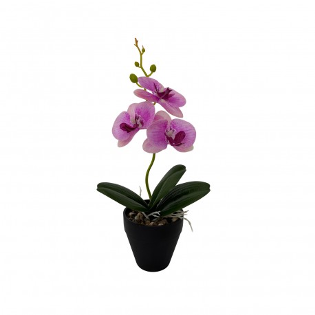 ORCHIDEA CON VASO ASSORTITO 3 PEZZI