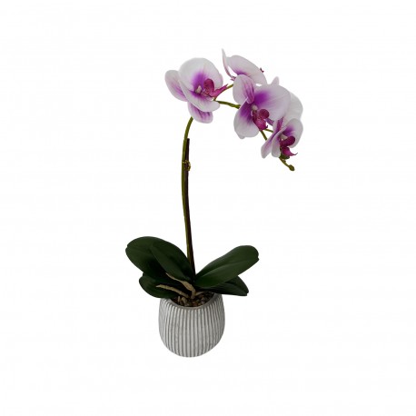 ORCHIDEA CON VASO ASSORTITO 3 PEZZI