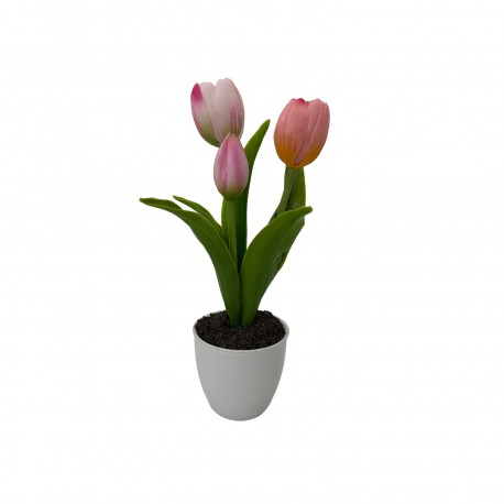 TULIPANO ASSORTITO CON VASO