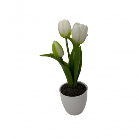 TULIPANO ASSORTITO CON VASO