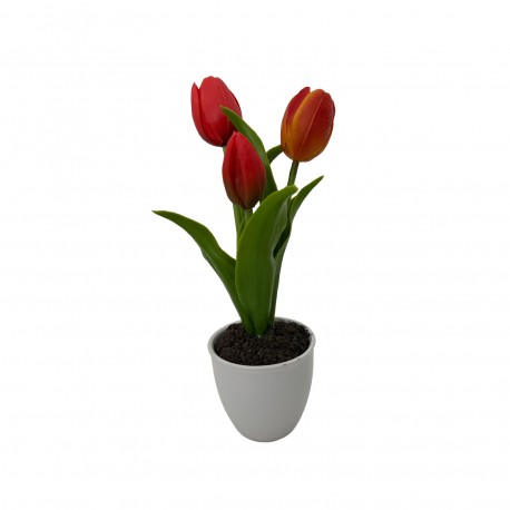TULIPANO ASSORTITO CON VASO