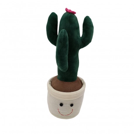 FERMA PORTE CACTUS CON FIORE