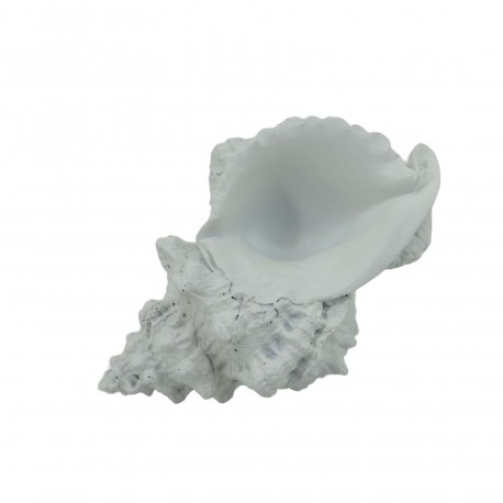 DECORAZIONE CONCHIGLIA MARINA M