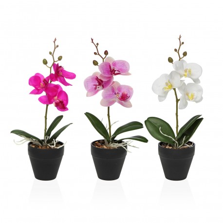 ORCHIDEA CON VASO ASSORTITO 3 PEZZI