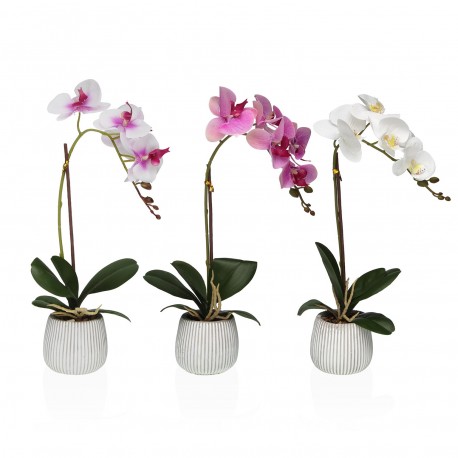 ORCHIDEA ASSORTITA CON VASO