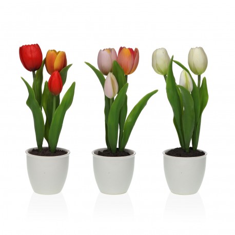 TULIPANO CON VASO ASSORTITO 3 PEZZI