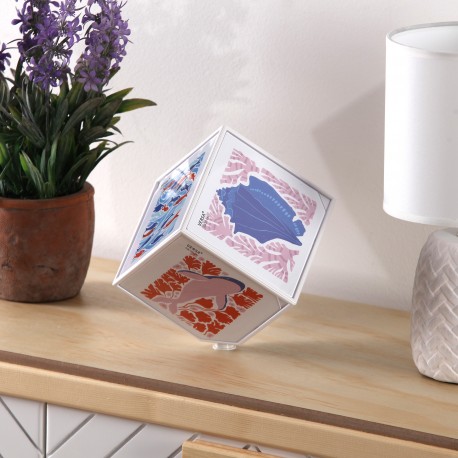 CUBO FOTO BIANCO "JUNO" 10X10