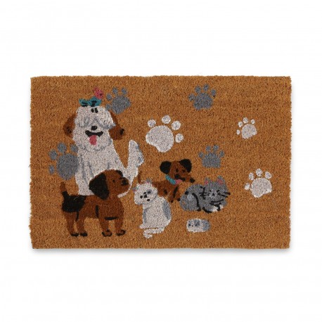 ZERBINO FAMILY CATS & DOGS